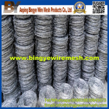 SGS Electro Galvanized Barbed Wire for Sales